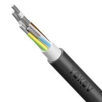 Кабель TOKOV ELECTRIC АВВГнг(А)-LS 5х35 МК (N PE) 0.66кВ (м) 00-00072435