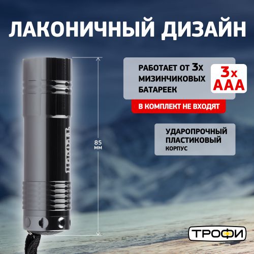 Фонарь ручной TM9 9LED алюм. элементы питания 3хAAA (не в компл.) (картон. упак.) Трофи Б0002225