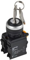 Переключатель 2 полож. 1НО+1НЗ с ключом черн. MASTER IEK MI-SW60-11Y-3-34-2-K02