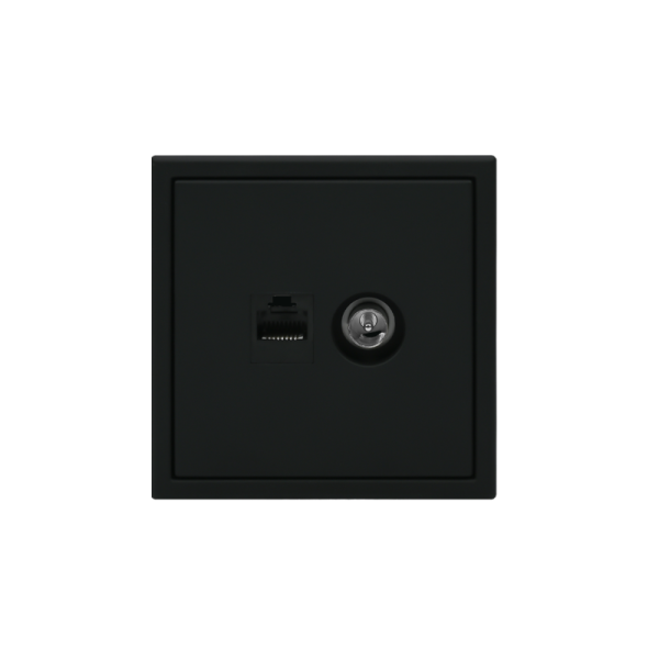 Розетка компьютерная + телевизионная 2-м СП ArtGallery RJ45 кат.5E + TV механизм карбон SE GAL001089