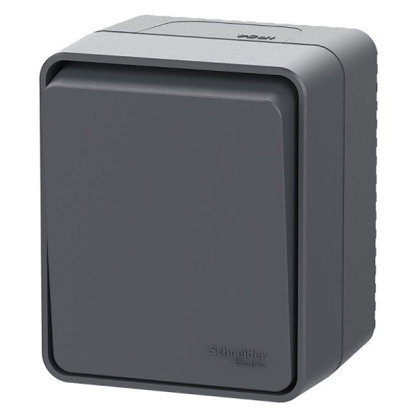 Выключатель кнопочный 1-кл. ОП AtlasDesign PROFI IP54 10АХ антрацит SE ATN544015