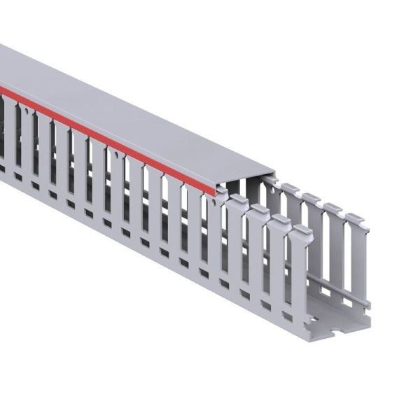Кабель-канал перфорированный 40х60 L2000 RL12 G DKC 00107RL